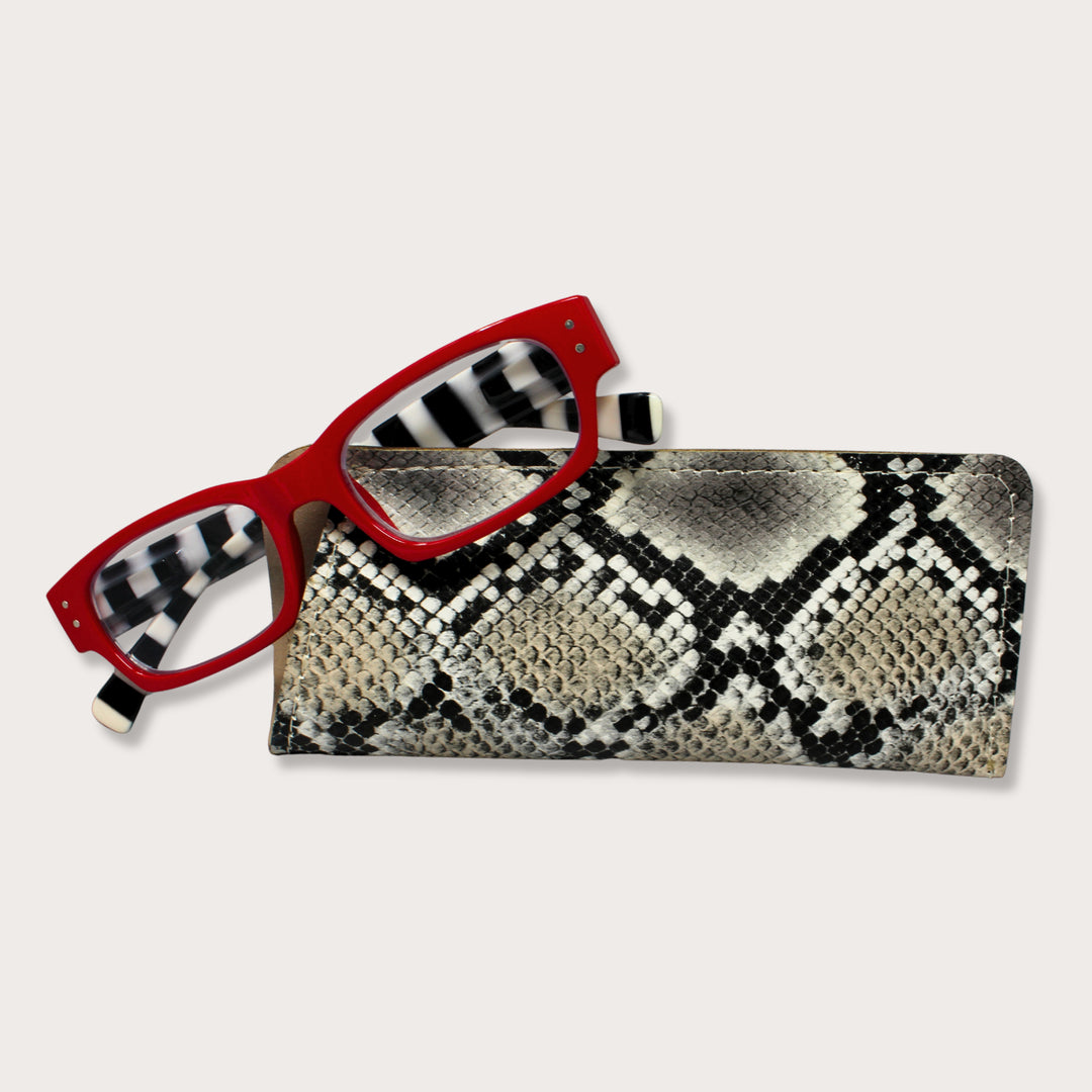 Estuche para Lentes