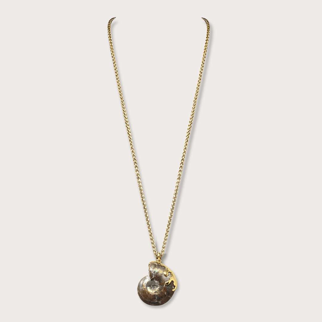 Fossil Ammonite - LAURA CANTU JEWELRY