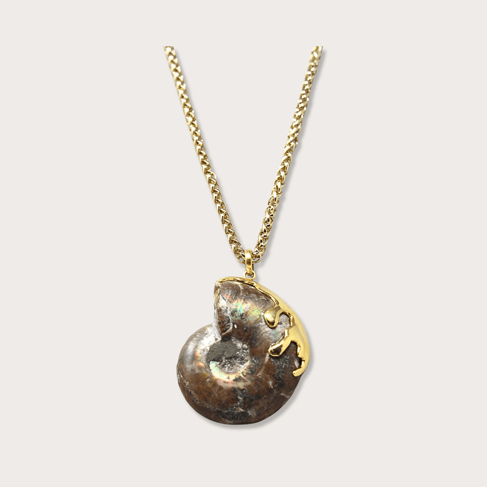 Fossil Ammonite - LAURA CANTU JEWELRY