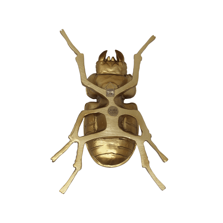 Beetle Decor - LAURA CANTU JEWELRY